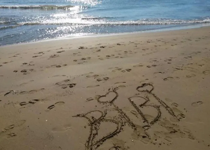 Bright Escape Near The Bibione